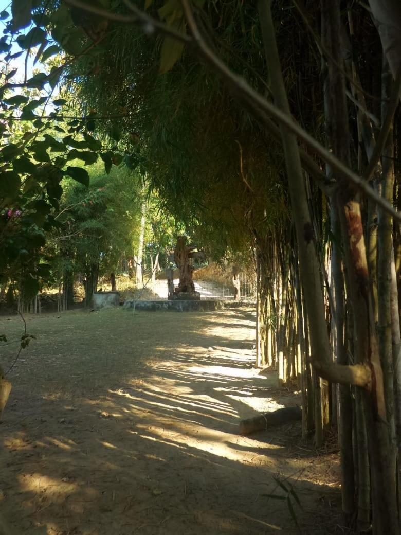 Ary'S Lagoon Bungalow & Hotel Ilhas Karimunjava Exterior foto
