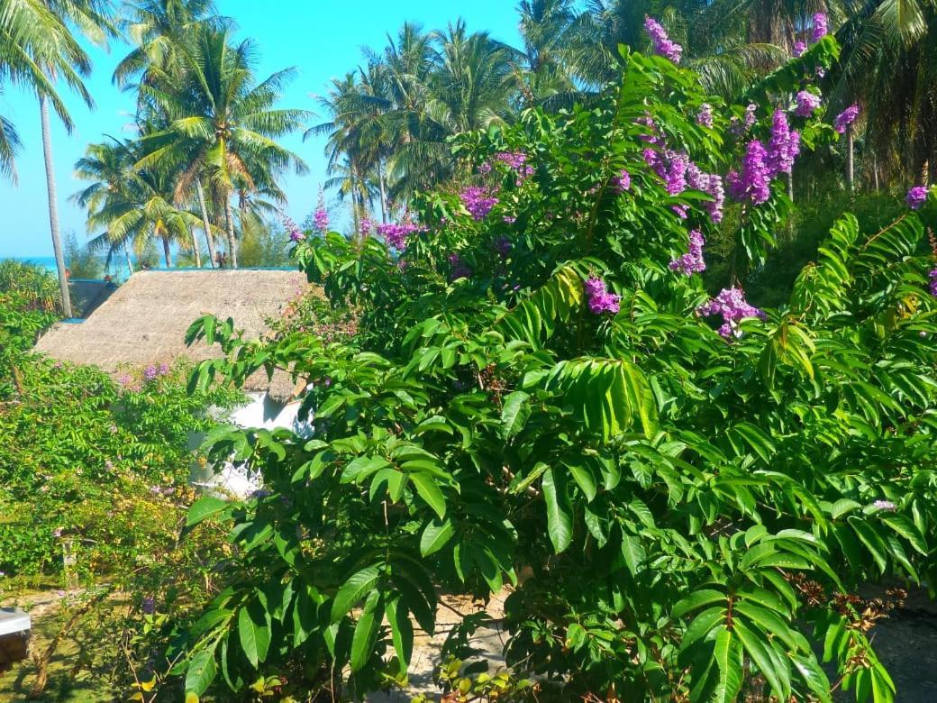 Ary'S Lagoon Bungalow & Hotel Ilhas Karimunjava Exterior foto