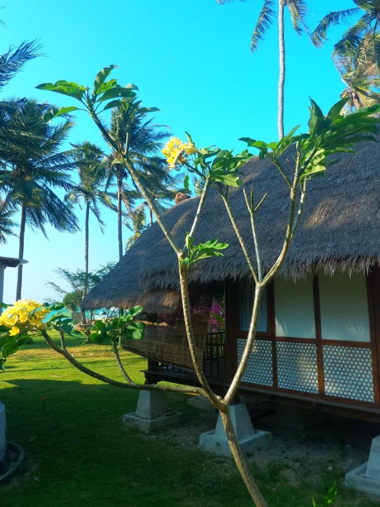 Ary'S Lagoon Bungalow & Hotel Ilhas Karimunjava Exterior foto